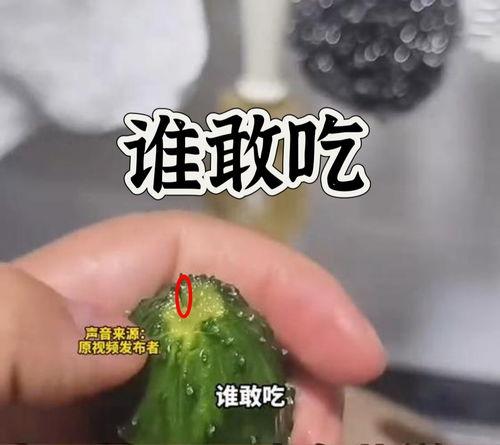 52吃瓜爆料免费吃瓜视频,免费畅享热门吃瓜视频盛宴