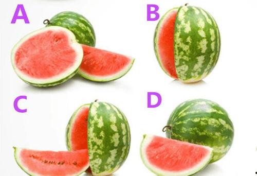 52每日大瓜视频